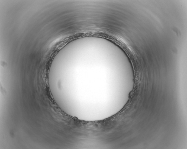 X0000091341063200708101015