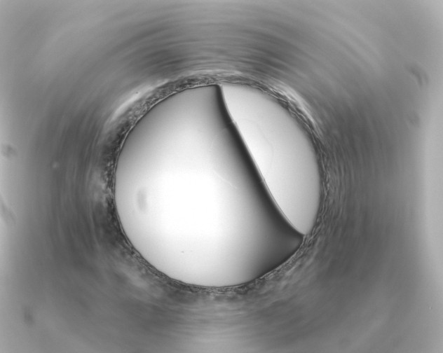 X0000091341064200708101015