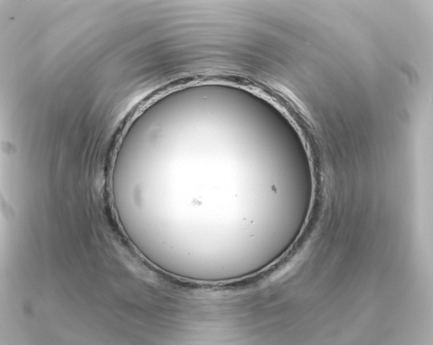 X0000091341065200708101015