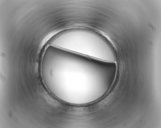 X0000091341066200708101015