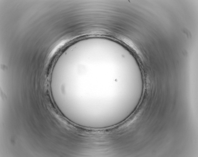 X0000091341067200708101015