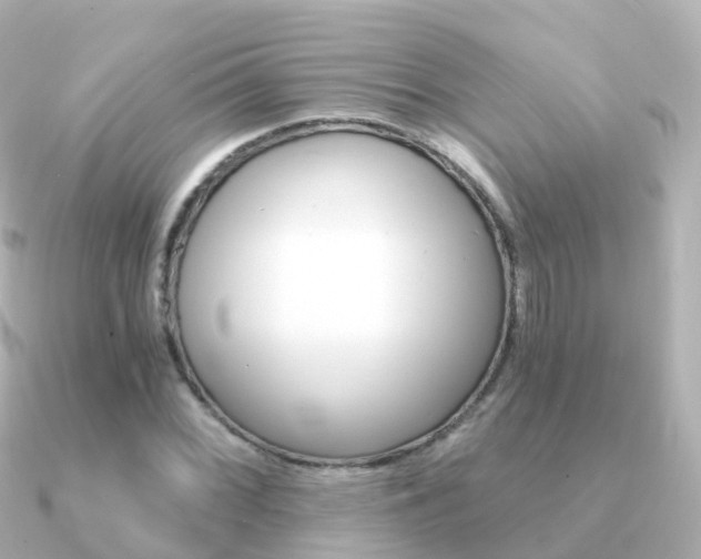 X0000091341068200708101015