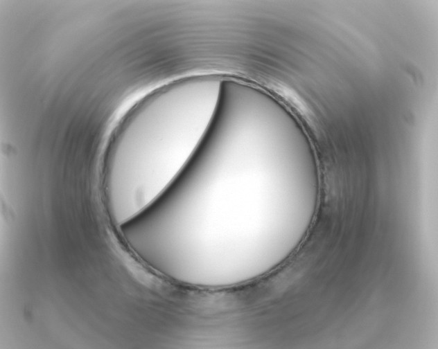 X0000091341072200708101015
