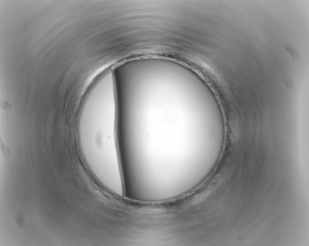 X0000091341073200708101015