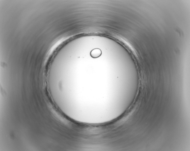 X0000091341075200708101015