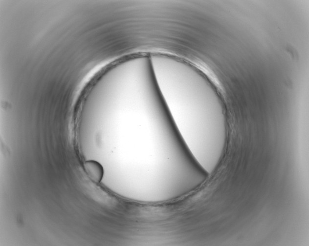 X0000091341076200708101015