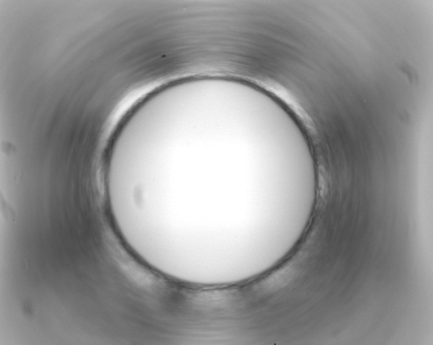 X0000091341078200708101015