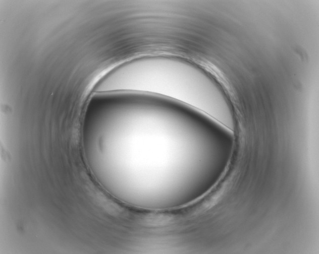 X0000091341081200708101015