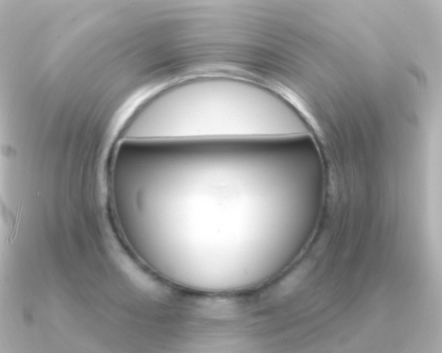 X0000091341082200708101015