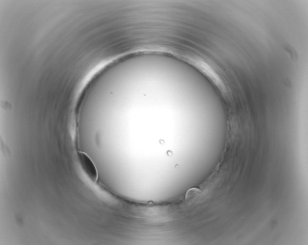 X0000091341084200708101015