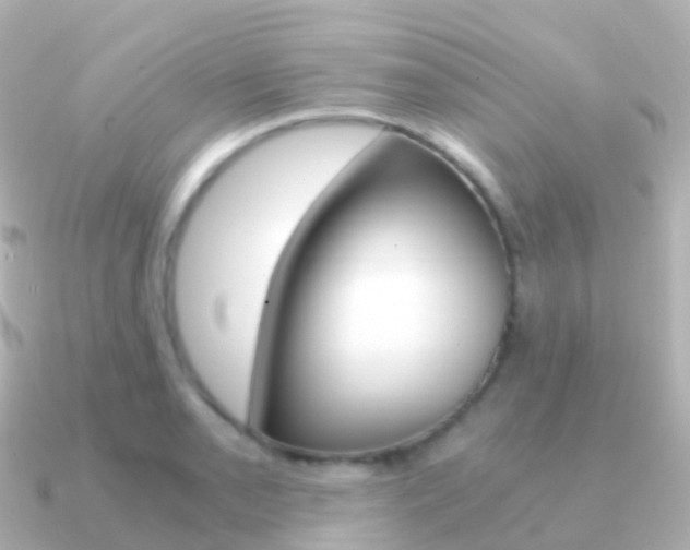 X0000091341085200708101015
