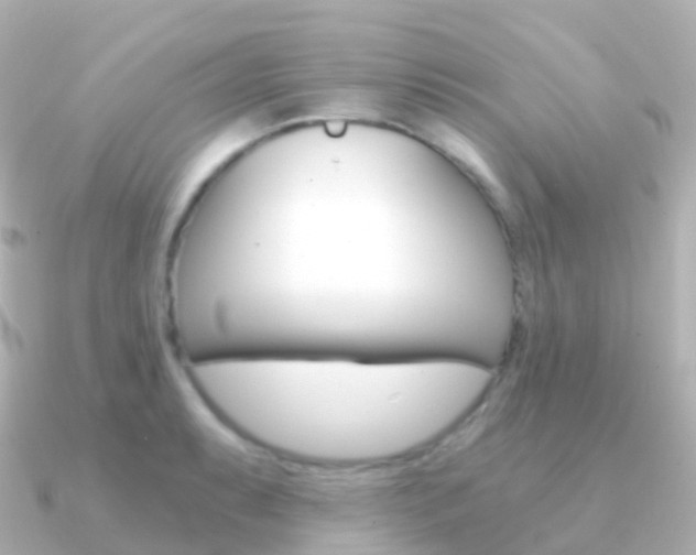 X0000091341087200708101015