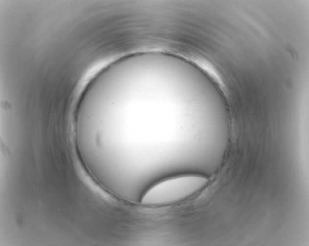 X0000091341088200708101015