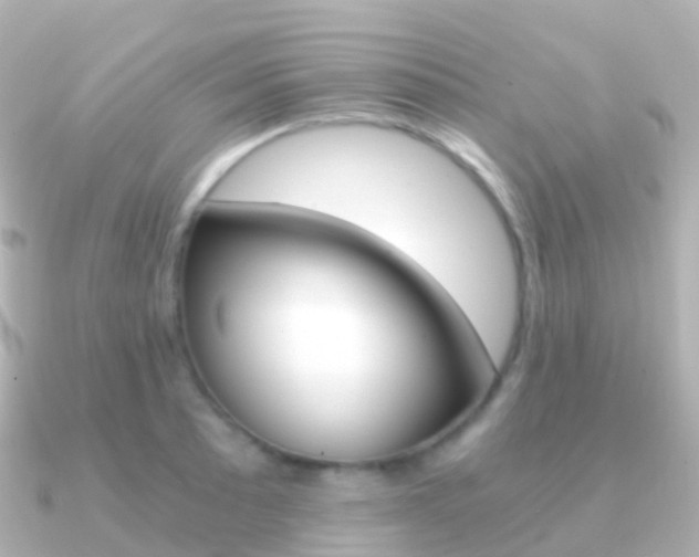 X0000091341089200708101015
