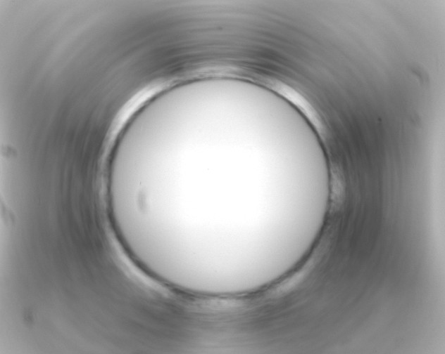 X0000091341090200708101015