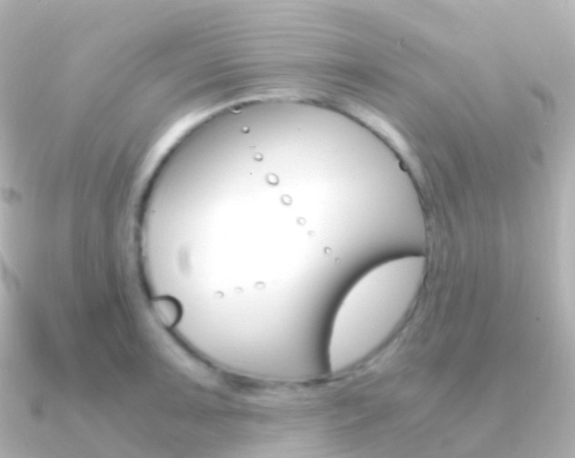 X0000091341091200708101015
