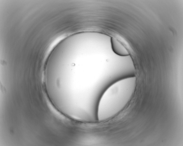 X0000091341095200708101015