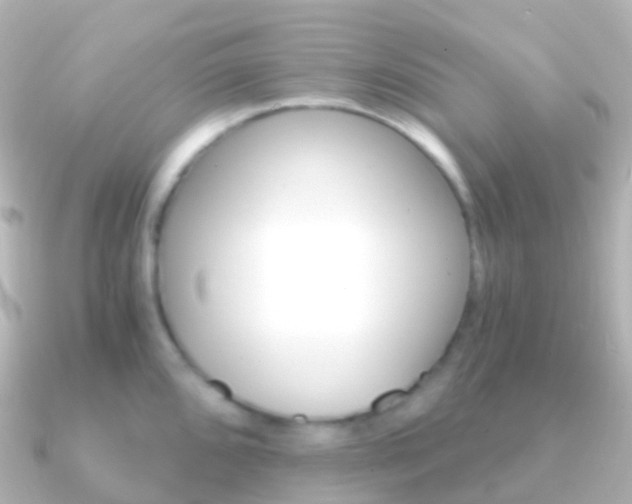 X0000091341096200708101015