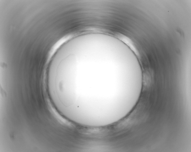 X0000091341098200708101015
