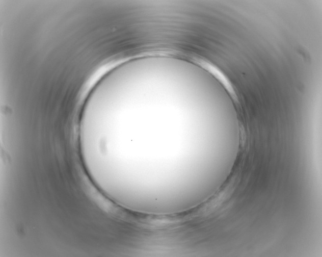 X0000091341099200708101015