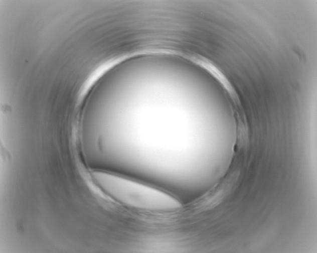 X0000091341101200708101015