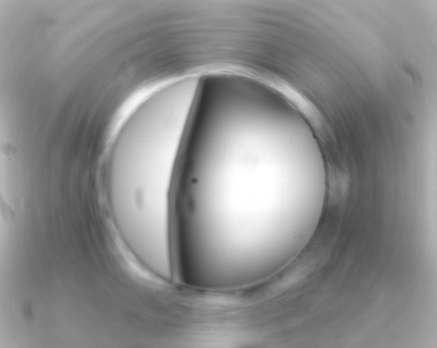 X0000091341102200708101015
