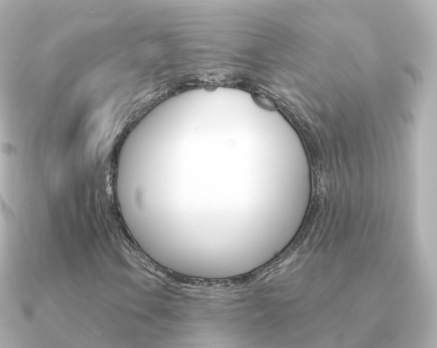 X0000091341106200708101014