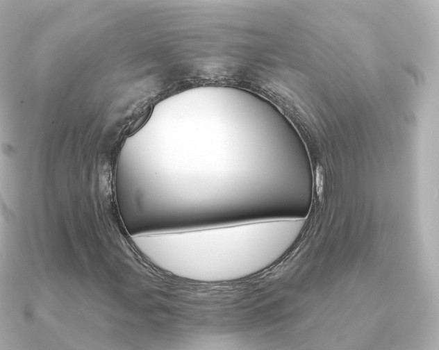X0000091341107200708101014