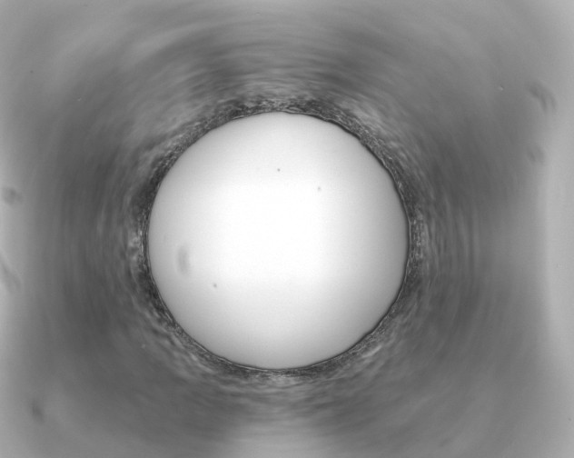 X0000091341109200708101014
