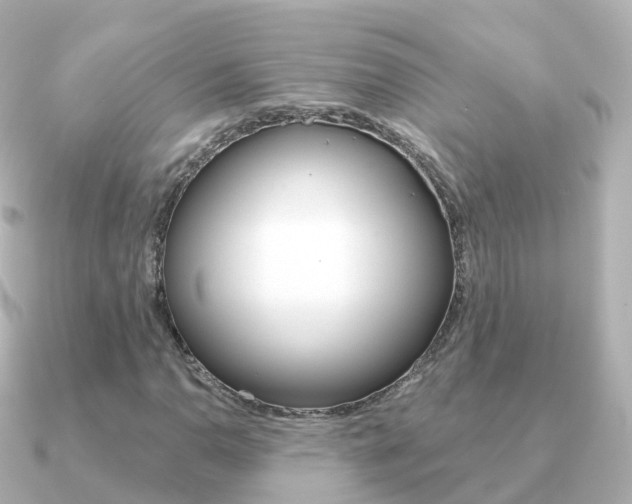 X0000091341110200708101014