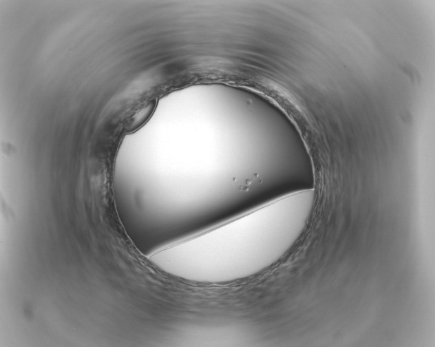 X0000091341111200708101014