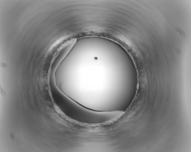 X0000091341112200708101014
