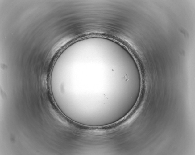 X0000091341113200708101014