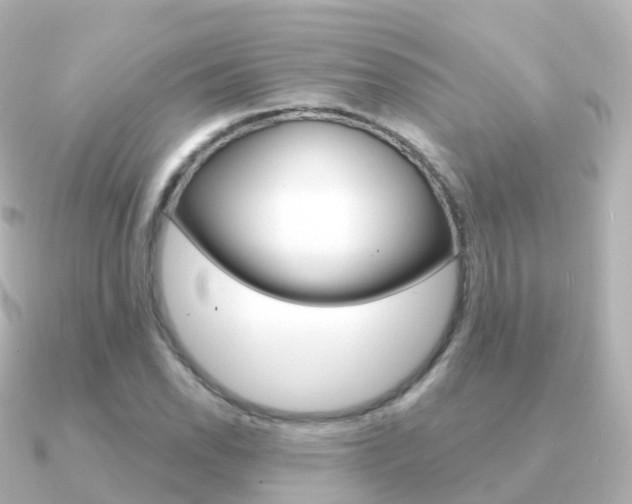 X0000091341118200708101014
