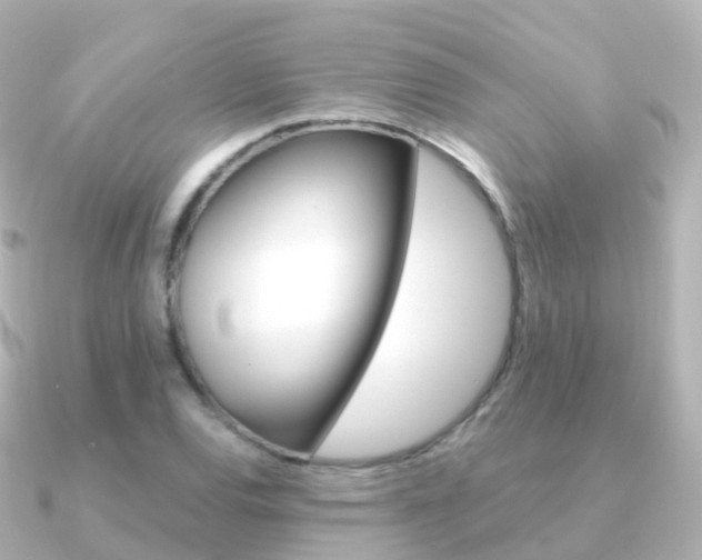 X0000091341120200708101014