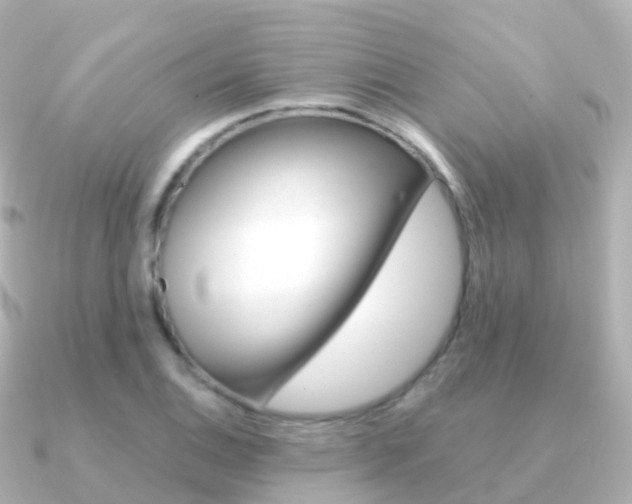 X0000091341124200708101014
