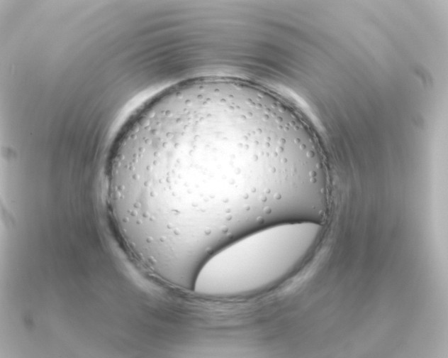 X0000091341125200708101014