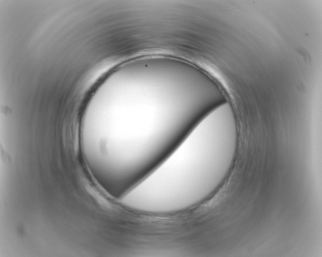 X0000091341127200708101014