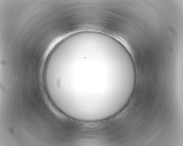 X0000091341128200708101014