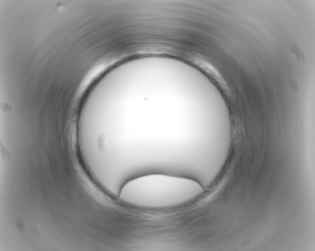 X0000091341130200708101014