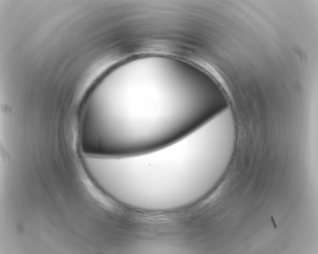 X0000091341131200708101014
