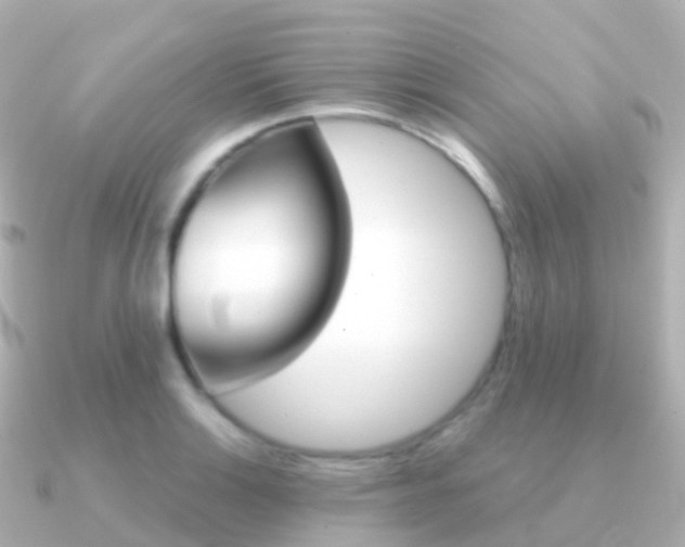 X0000091341132200708101014