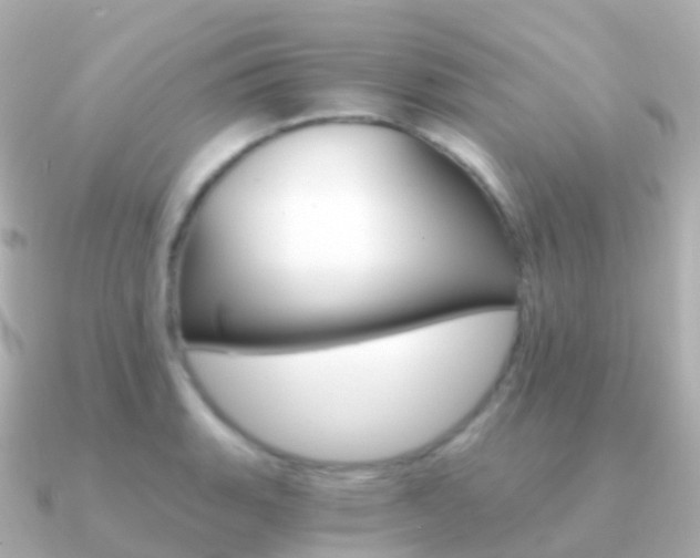 X0000091341135200708101014