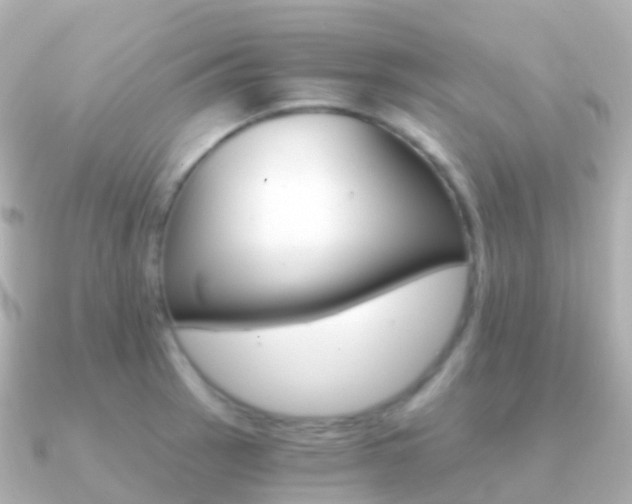 X0000091341137200708101015