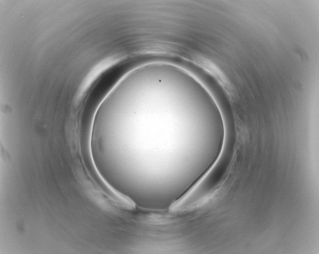 X0000091341138200708101015