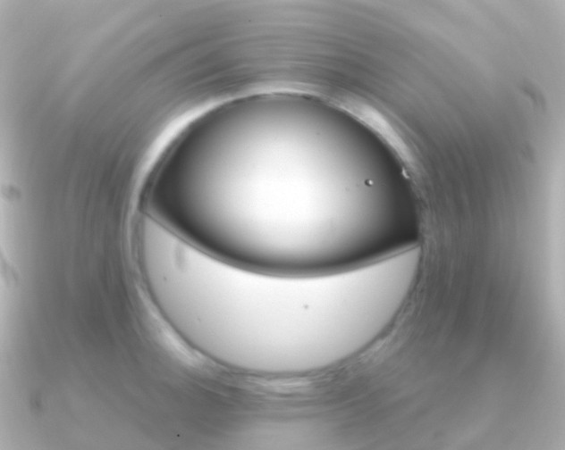 X0000091341140200708101015