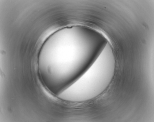 X0000091341143200708101015