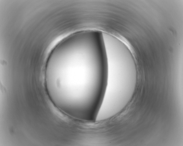 X0000091341144200708101015