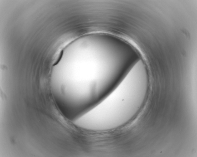 X0000091341145200708101015