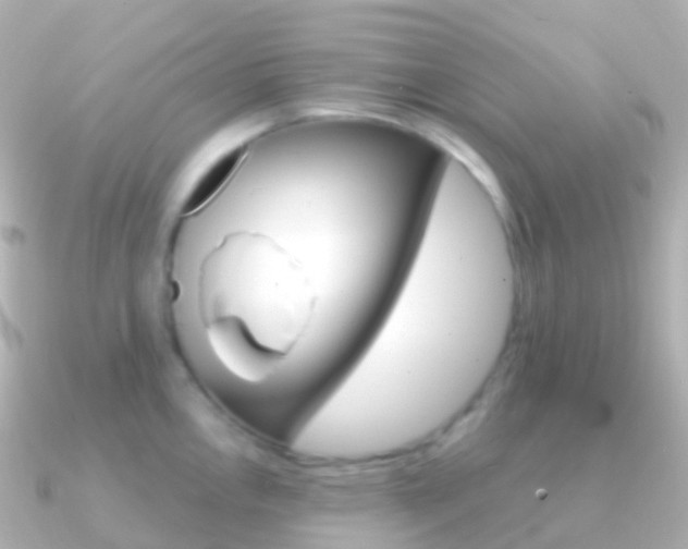 X0000091341146200708101015